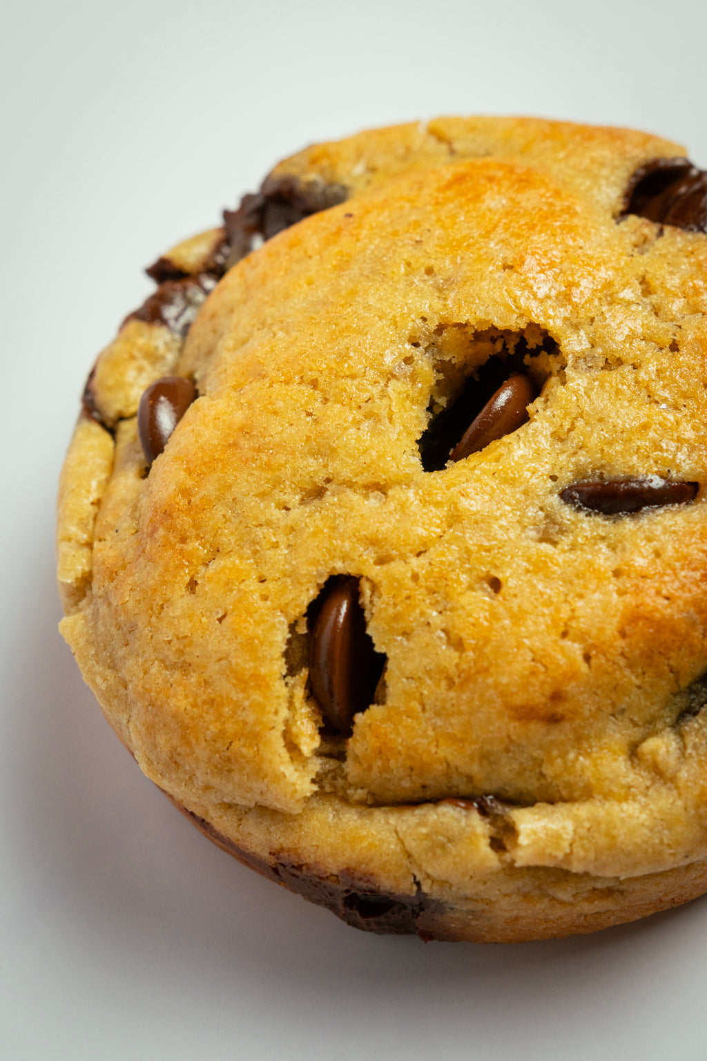 Caja de Galletas 12 Uds