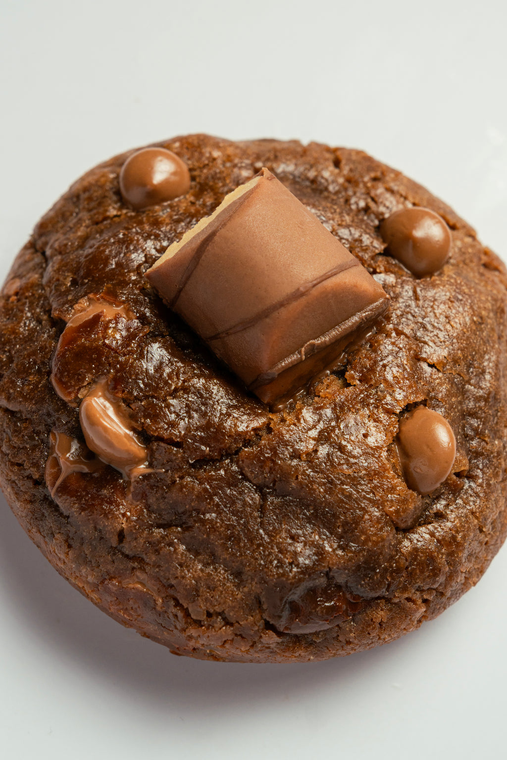 Caja de Galletas 12 Uds